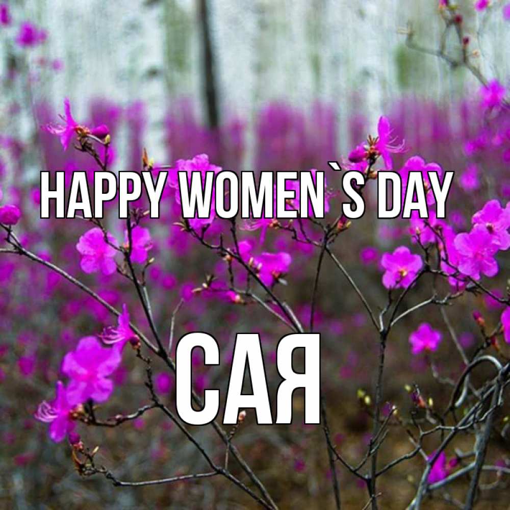 Greetings card с именем, САЯ happy women`s day дикие цветы Greetings with text for free download 